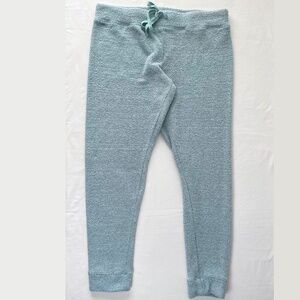 EUC Secret Treasures soft fuzzy blue pajama pants womens size L